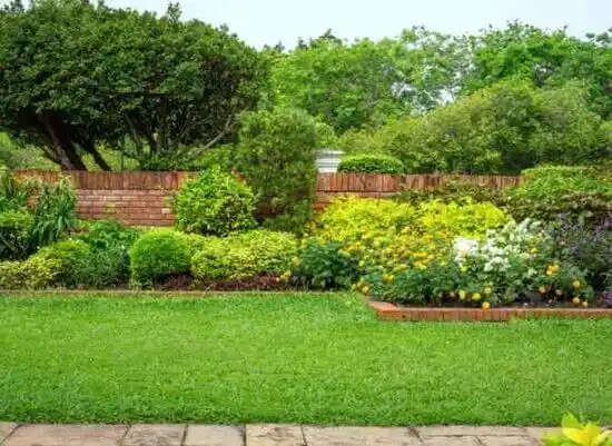 landscaping services Alamo